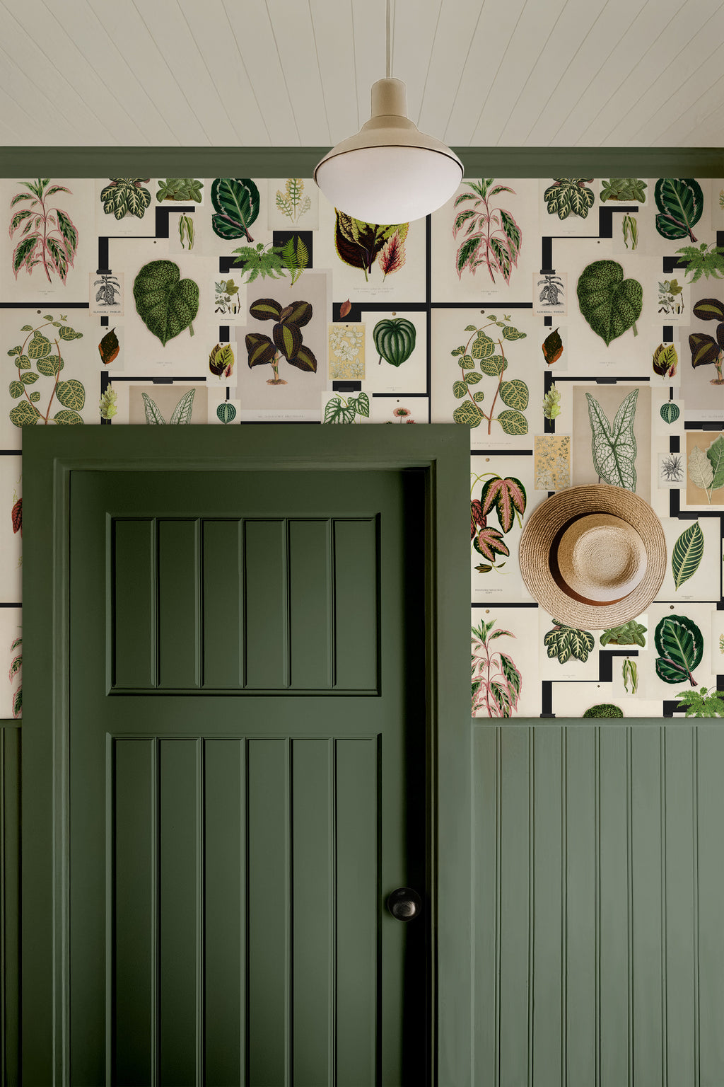 Botanical Prints Wallpaper