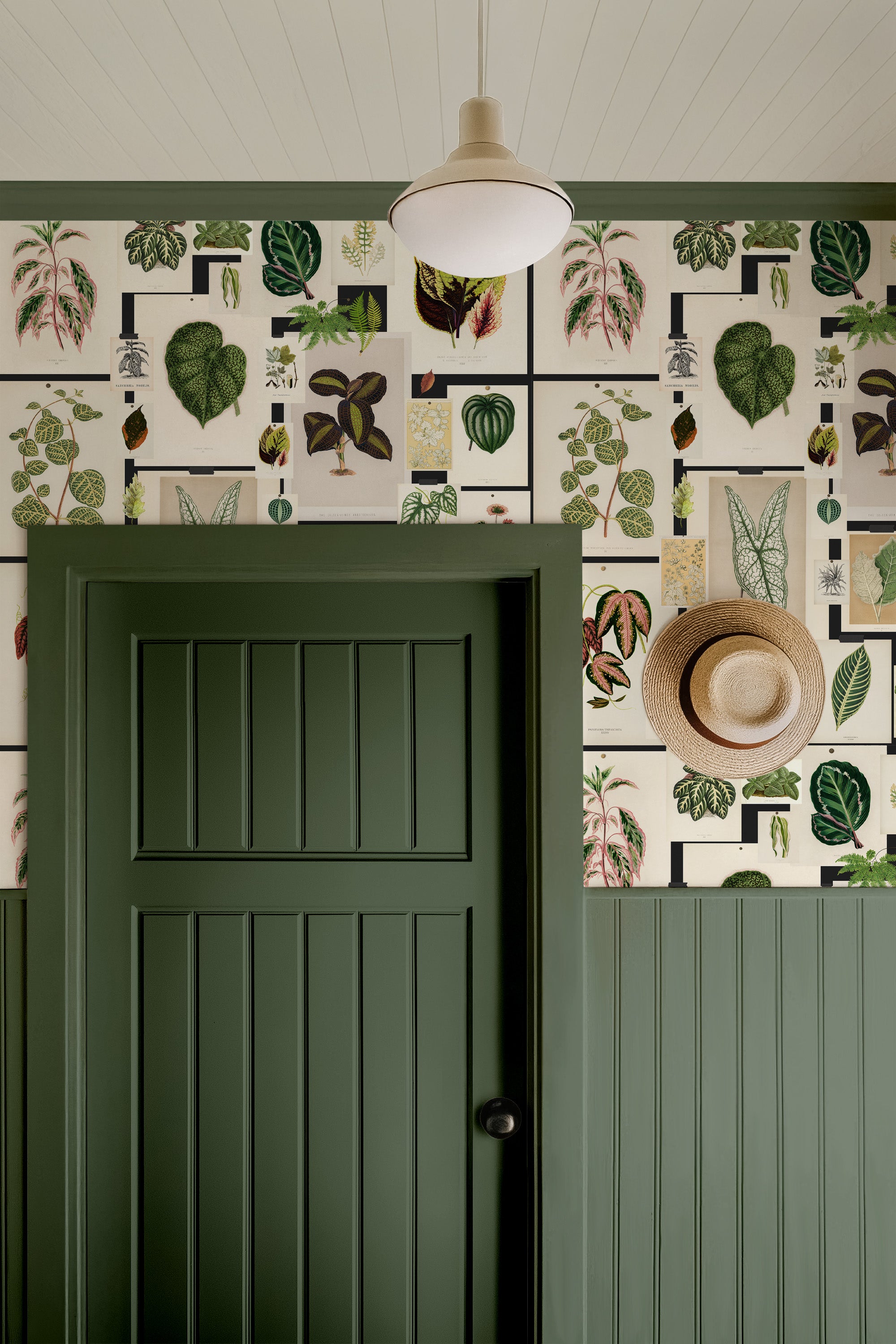 Botanical Prints Wallpaper