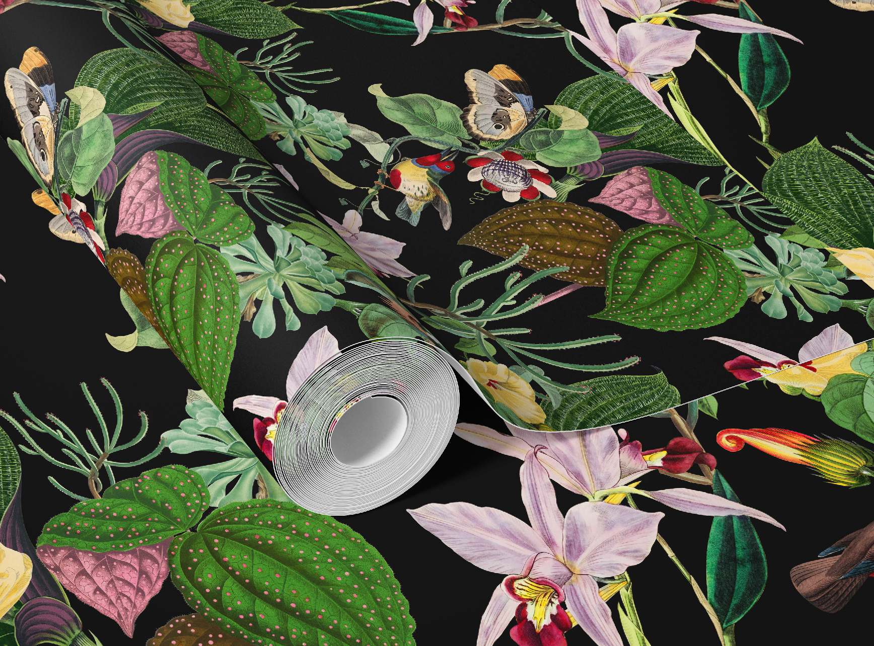 Botanical Birds Wildlife Wallpaper - Black