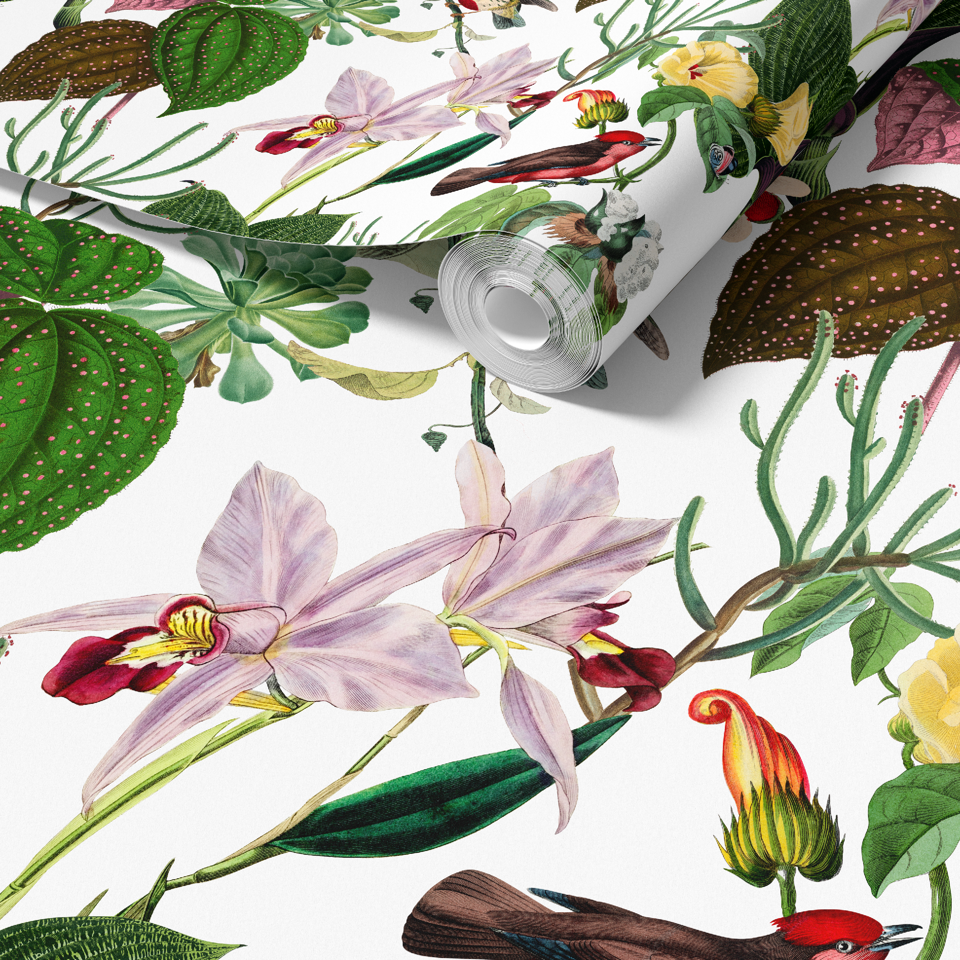 Botanical Birds Wildlife Wallpaper - White