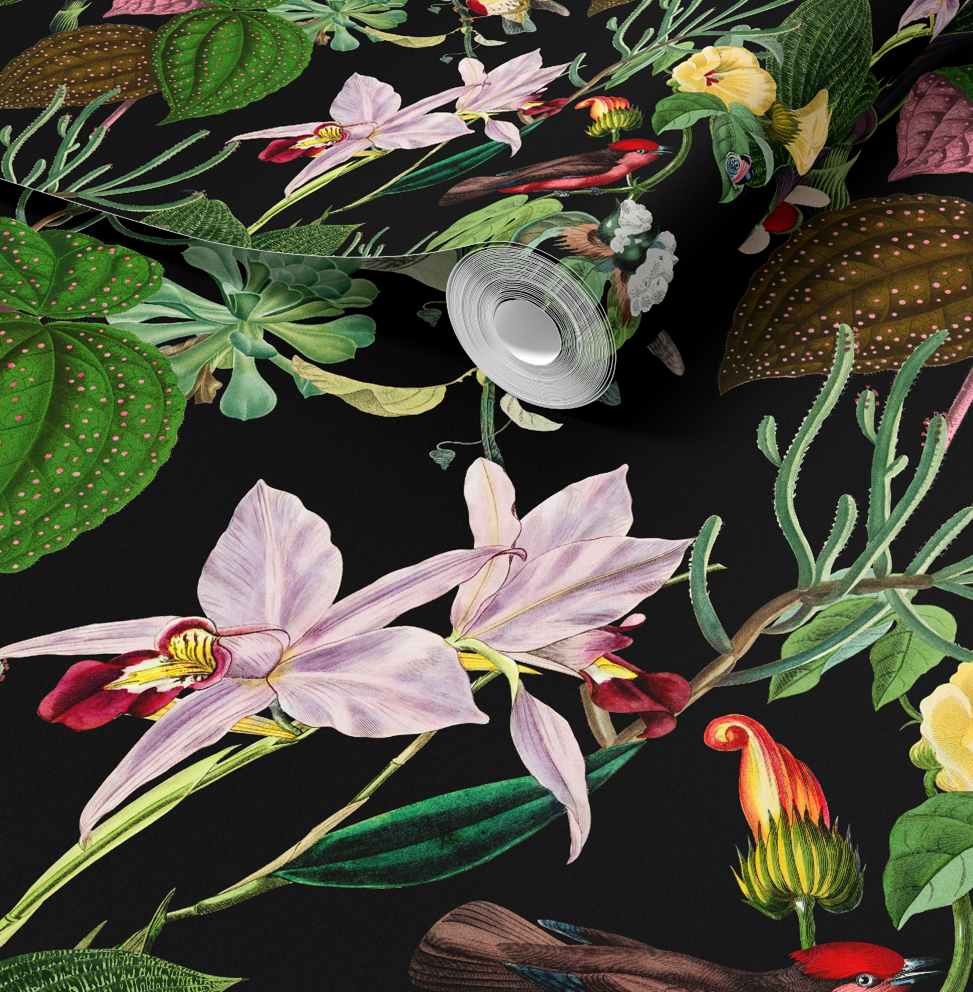 Botanical Birds Wildlife Wallpaper - Black
