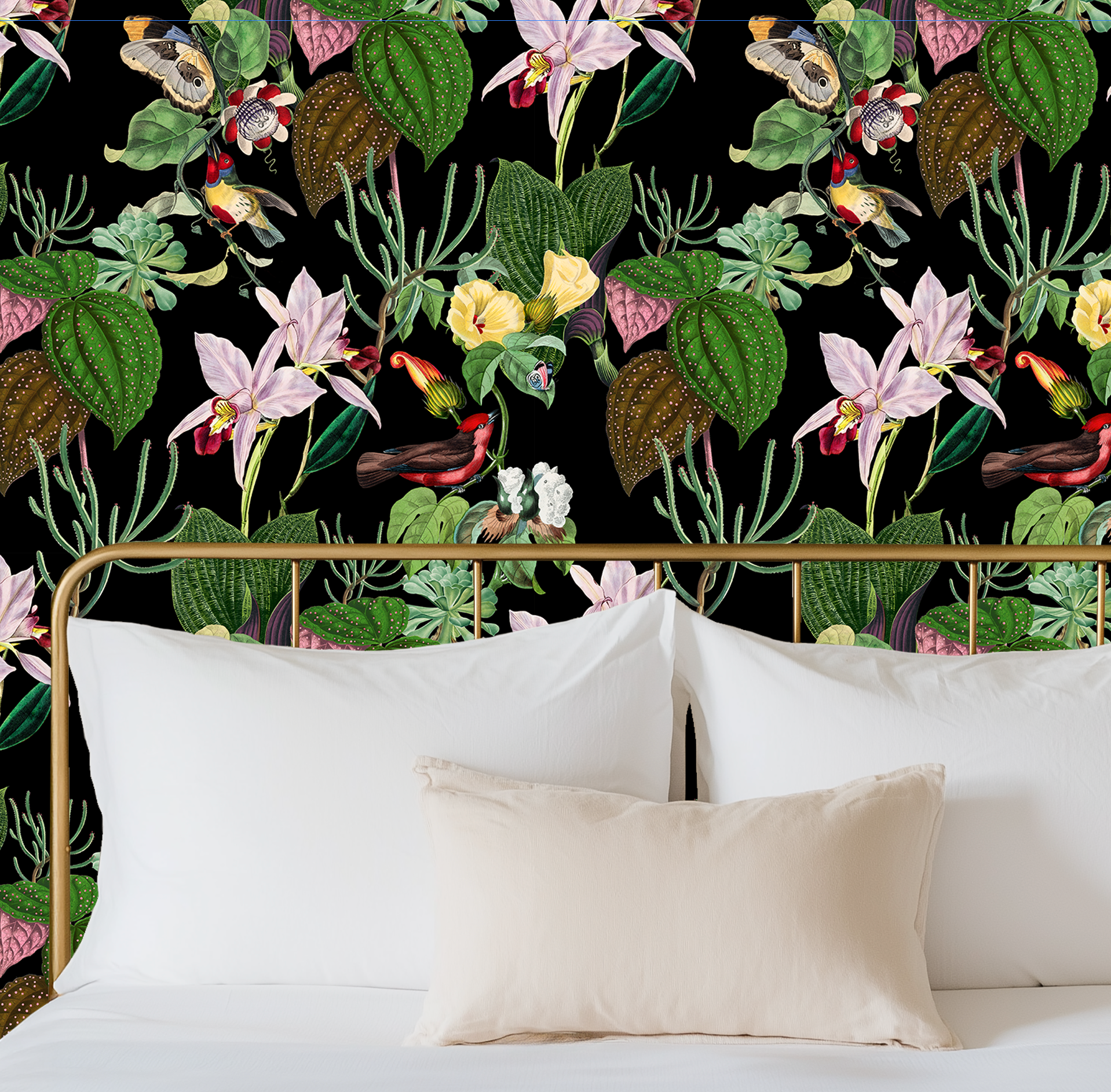 Botanical Birds Wildlife Wallpaper - Black