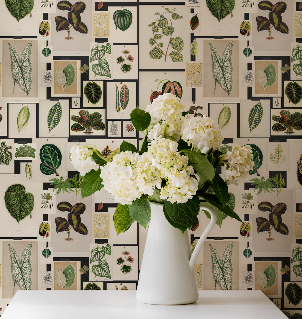 Botanical Prints Wallpaper - Image 3 by RebelMod