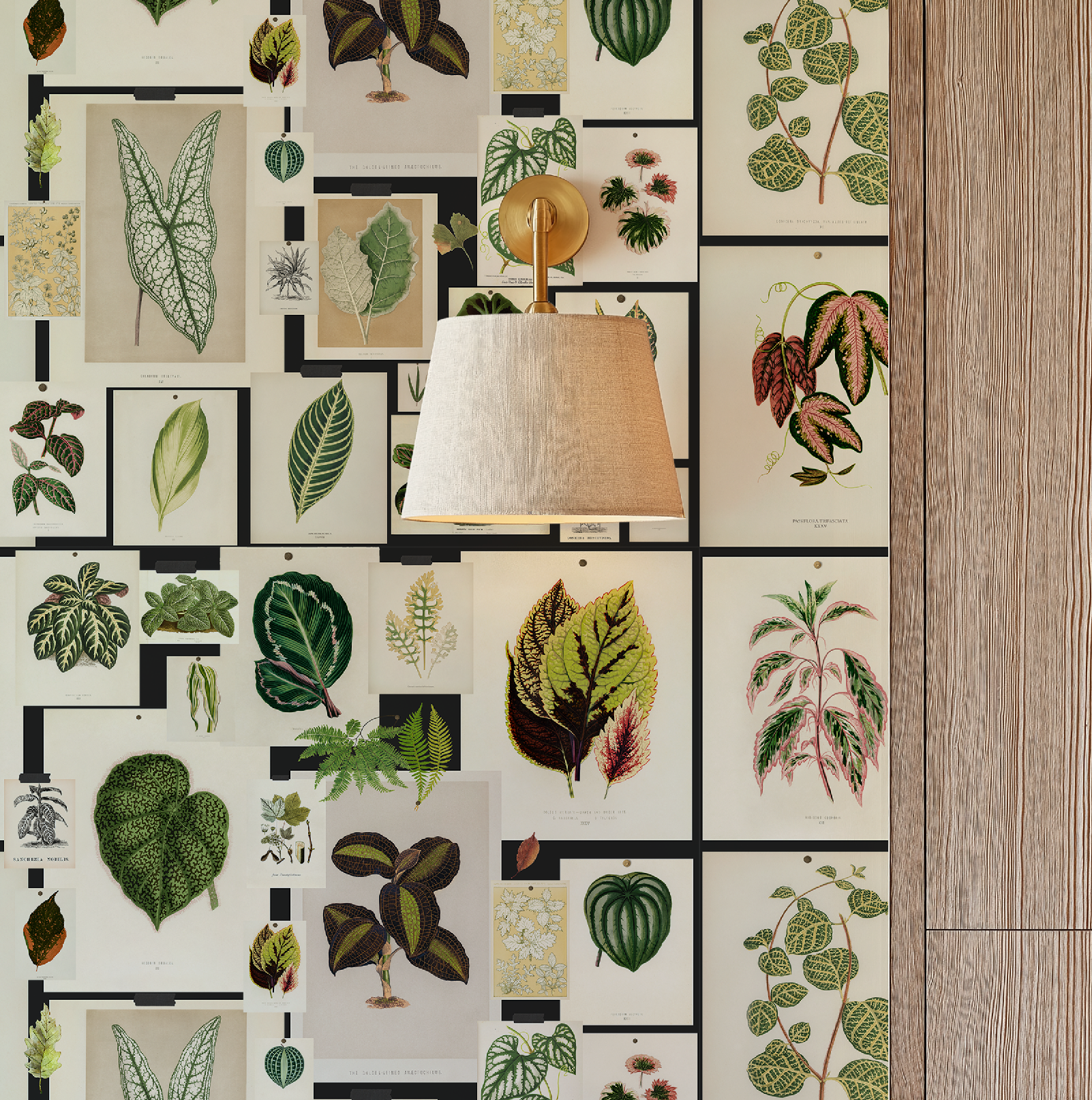 Botanical Prints Wallpaper