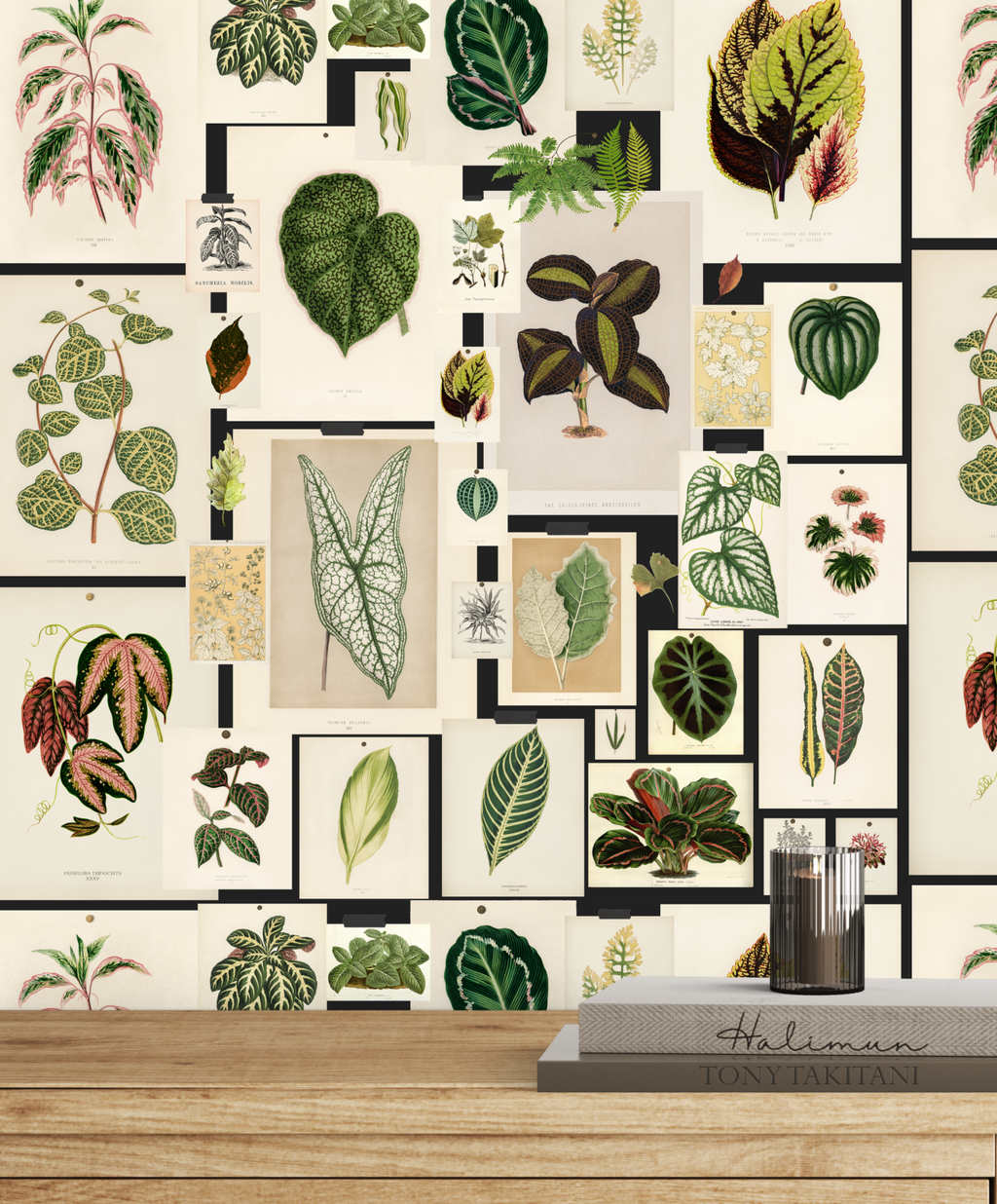 Botanical Prints Wallpaper