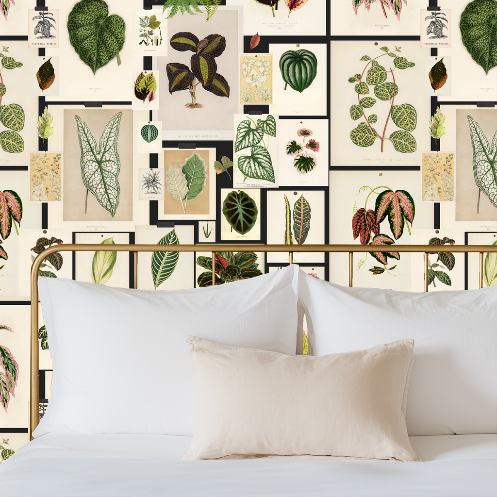 Botanical Prints Wallpaper