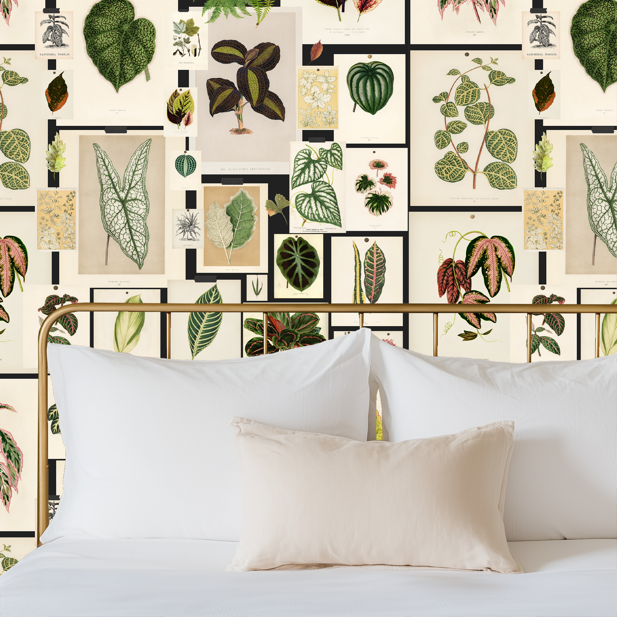 Botanical Prints Wallpaper