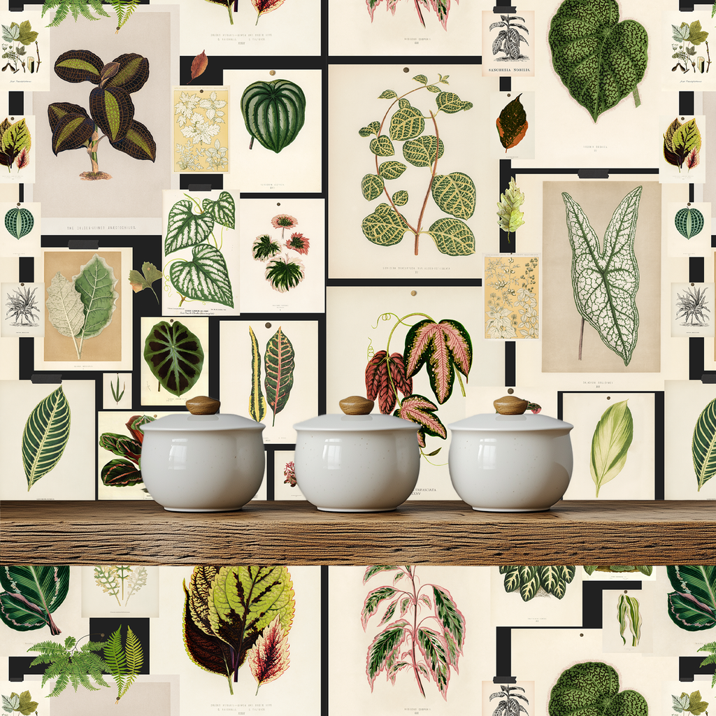 Botanical Prints Wallpaper - Image 8 by RebelMod